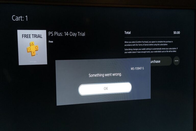 Understanding & Fixing PS5 Error Code (WS-113947-5)