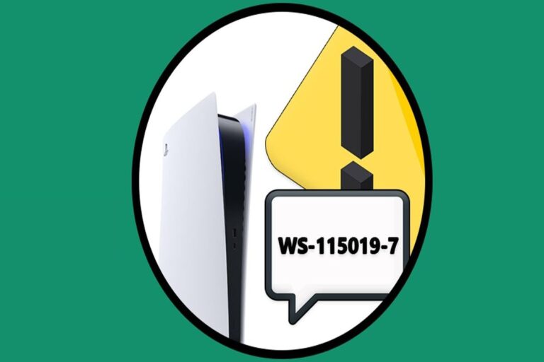 Understanding & Fixing PS5 Error Code (WS-115019-7)