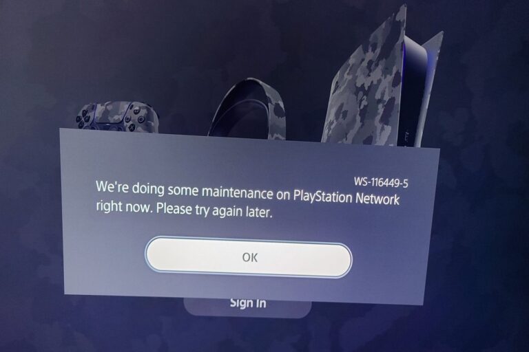 Understanding & Fixing PlayStation Error Code (WS-116449-5)