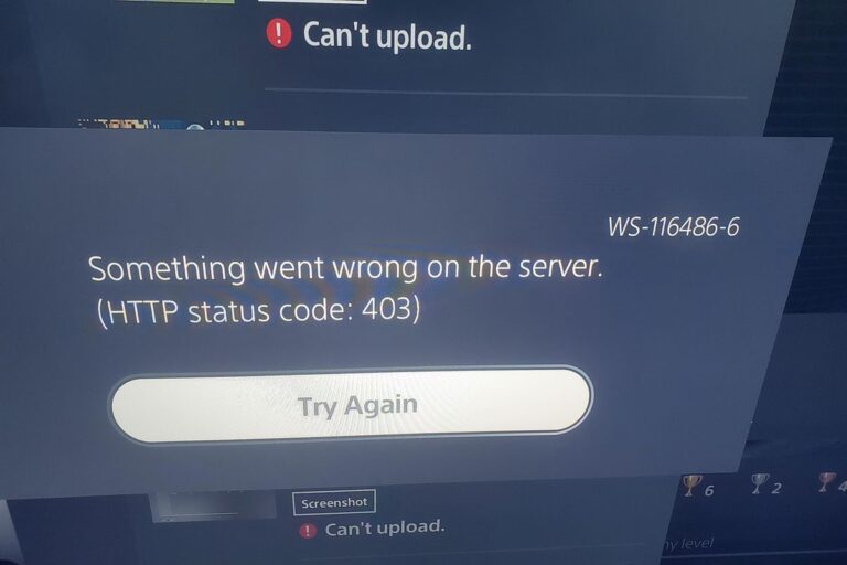 Understanding & Fixing PS5 Error Code (WS-116486-6)