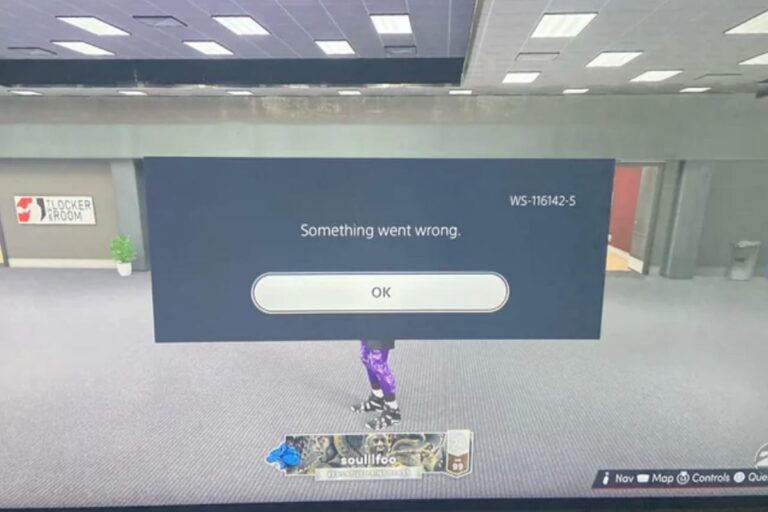 Understanding & Fixing PS5 Error Code (WS-116142-5)